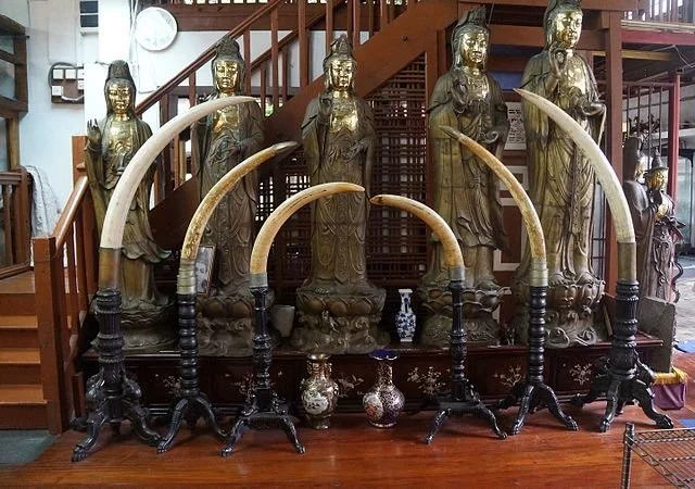 День 1 храм Ґанґарамая Colombo_Temple_bouddhiste_de_Gangaramaya_(15).JPG