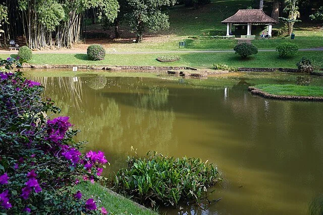 День 4 бот сад Peradeniya_Botanical_Garden_-_lake.jpg