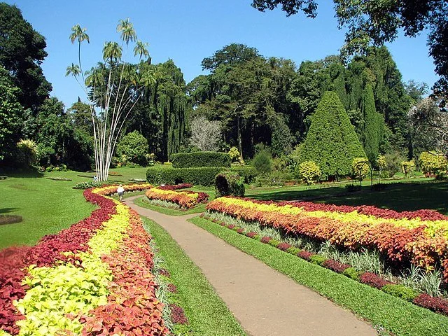День 4 ботанічний сад 640px-Botanical_Garden_of_Peradeniya_03.jpg
