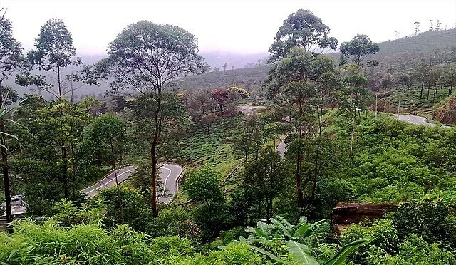 День 5 Nuwara_eliya_road.jpg