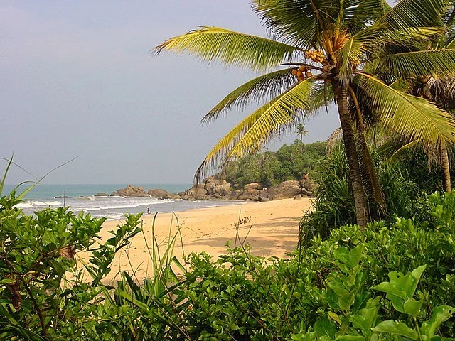 День 8 Beach_in_Sri_Lanka_-_panoramio.jpg