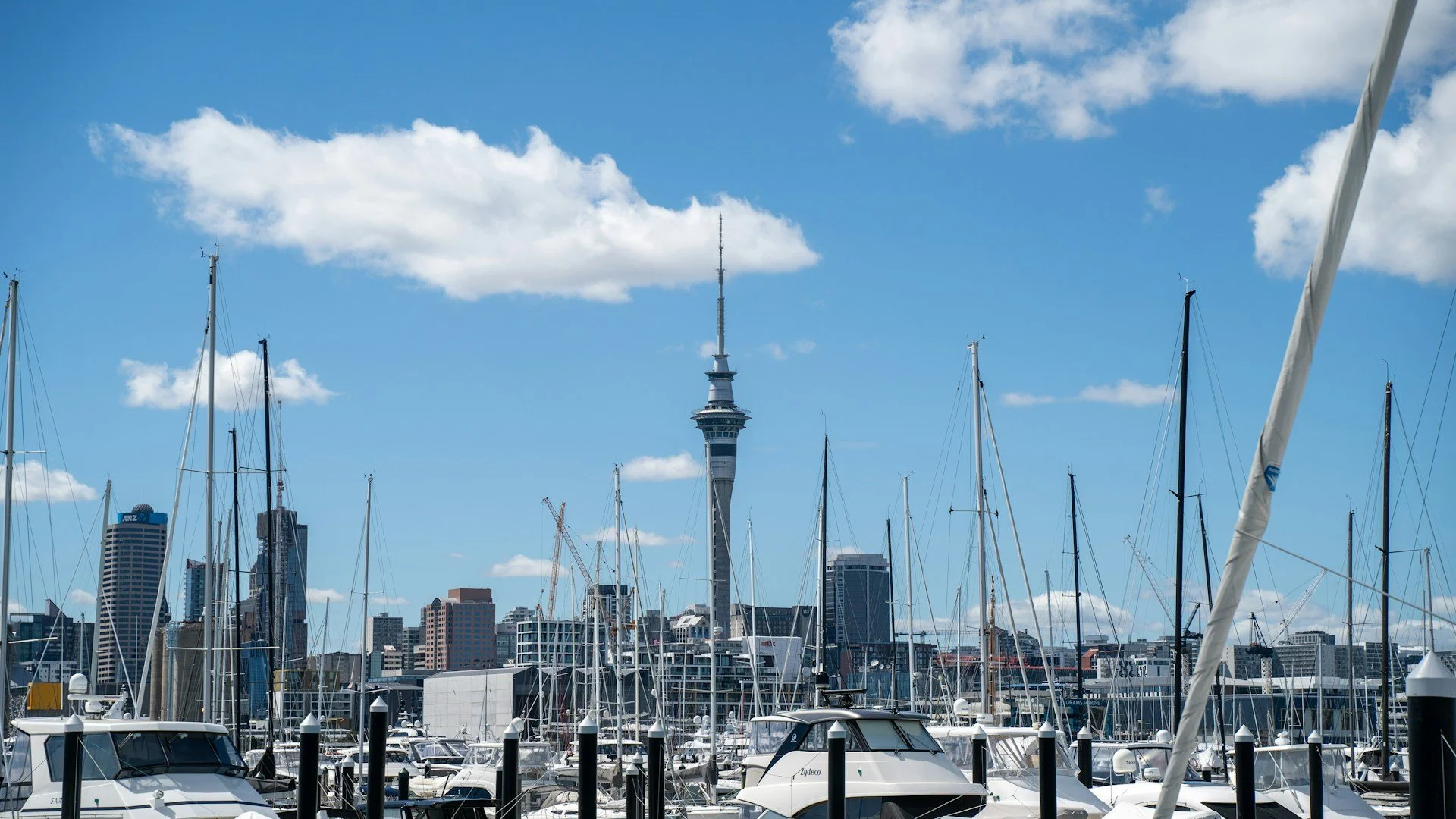 02.1 Auckland Marina.jpg