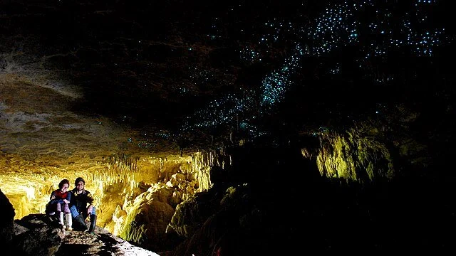 03.3 Waitomo Cave.jpg