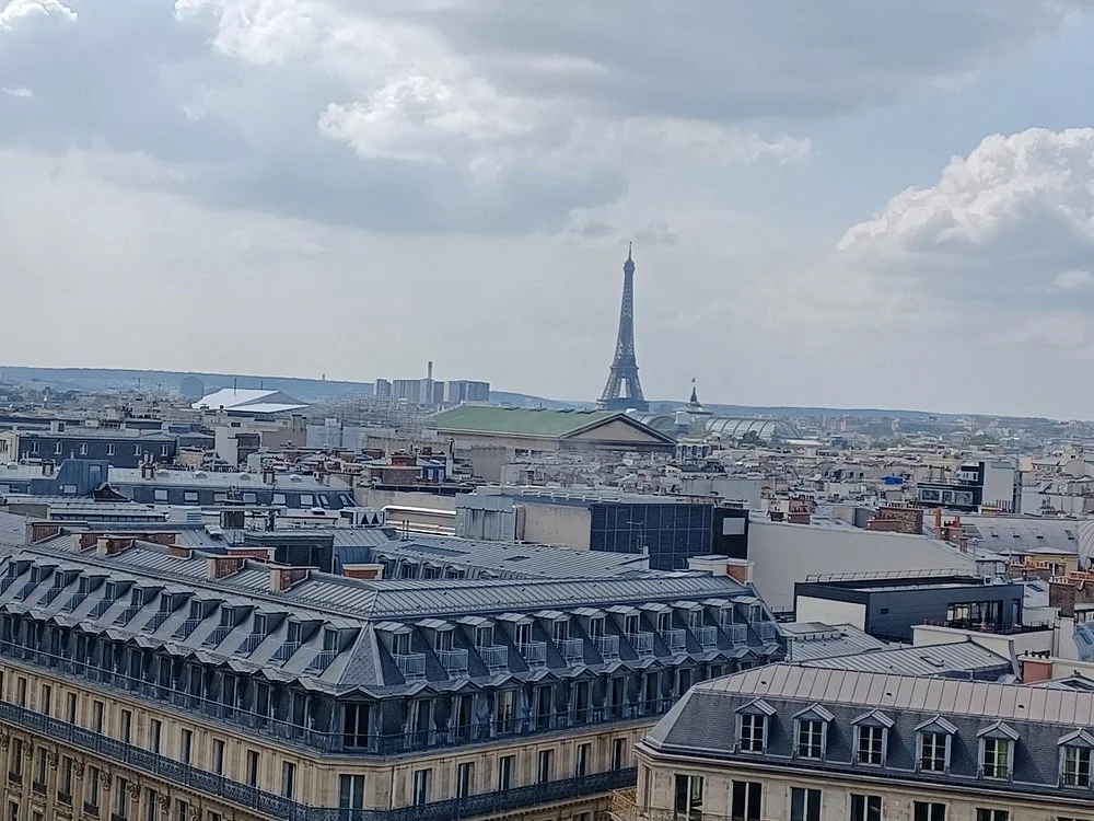 День 1 1vista-general-de-paris.jpg