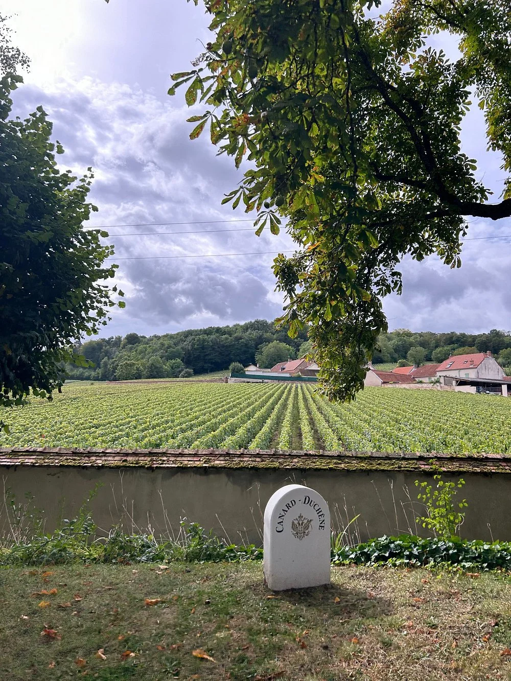 День 5-6caption.jpg