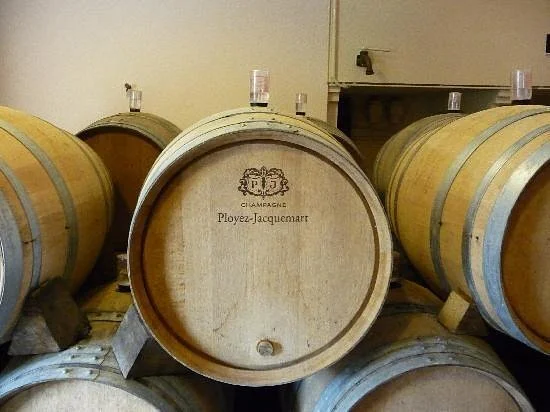 День 5-9 entrance-to-the-cellars.jpg