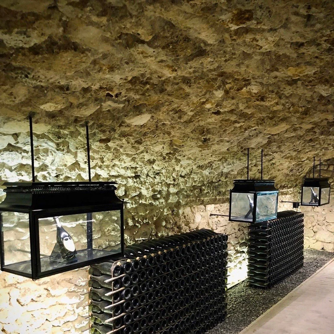 День 6-10 Моетjpg.jpg