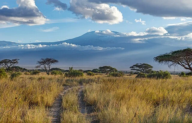 День 3 Amboseli_National_Park,_Kenya_(54113513312).jpeg