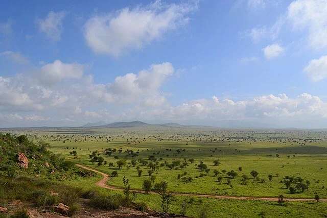 День 4 Savanna_towards_the_north-east_from_Lion_Rock_in_the_LUMO_Community_Wildlife_Sanctuary,_Kenya_2.jpeg