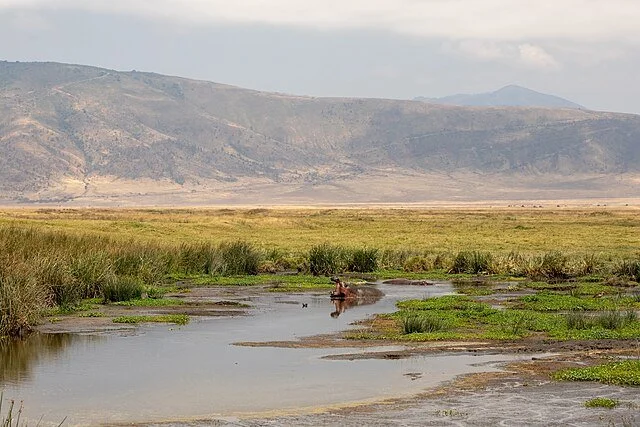 День 9 Nature_of_Ngorongoro_Conservation_Area_(141).jpeg