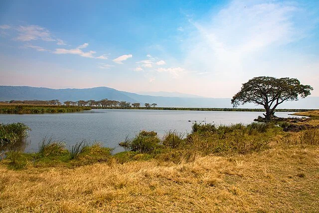 День 9 Ngorongoro_Crater_4.jpeg