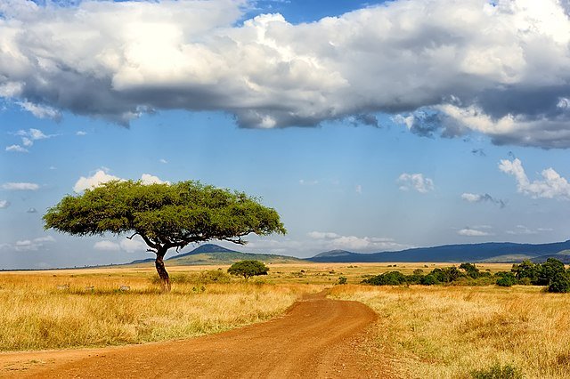 День 6 640px-Masai_Mara_landscape.jpeg
