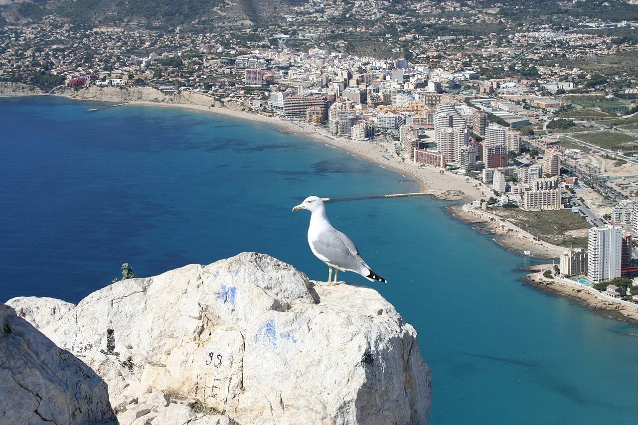 6 - 3 Calpe_desde_el_peñón.JPG