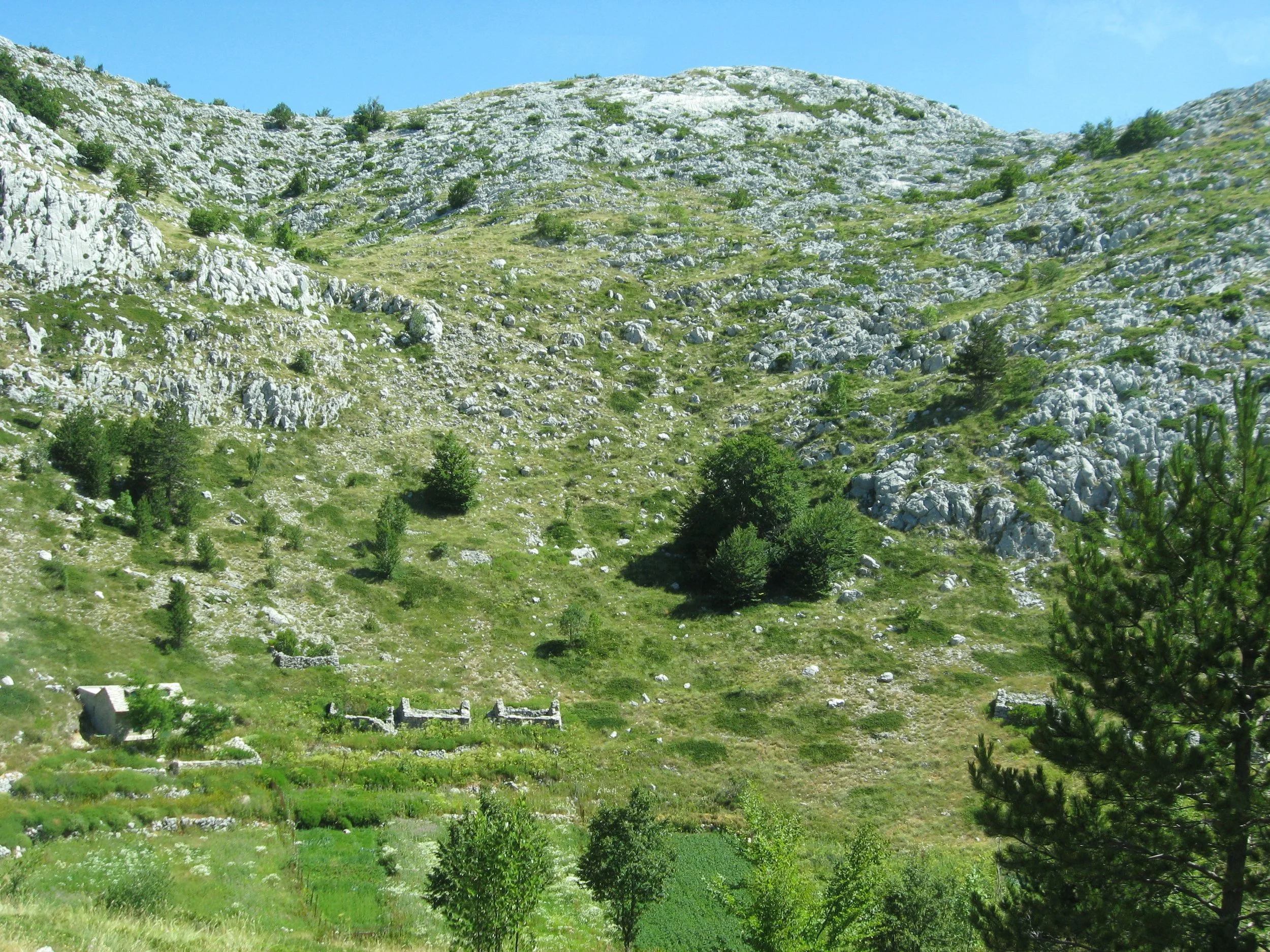  ©  https://commons.wikimedia.org/w/index.php?search=FRANCE&amp;title=Special%3AMediaSearch&amp;type=image   