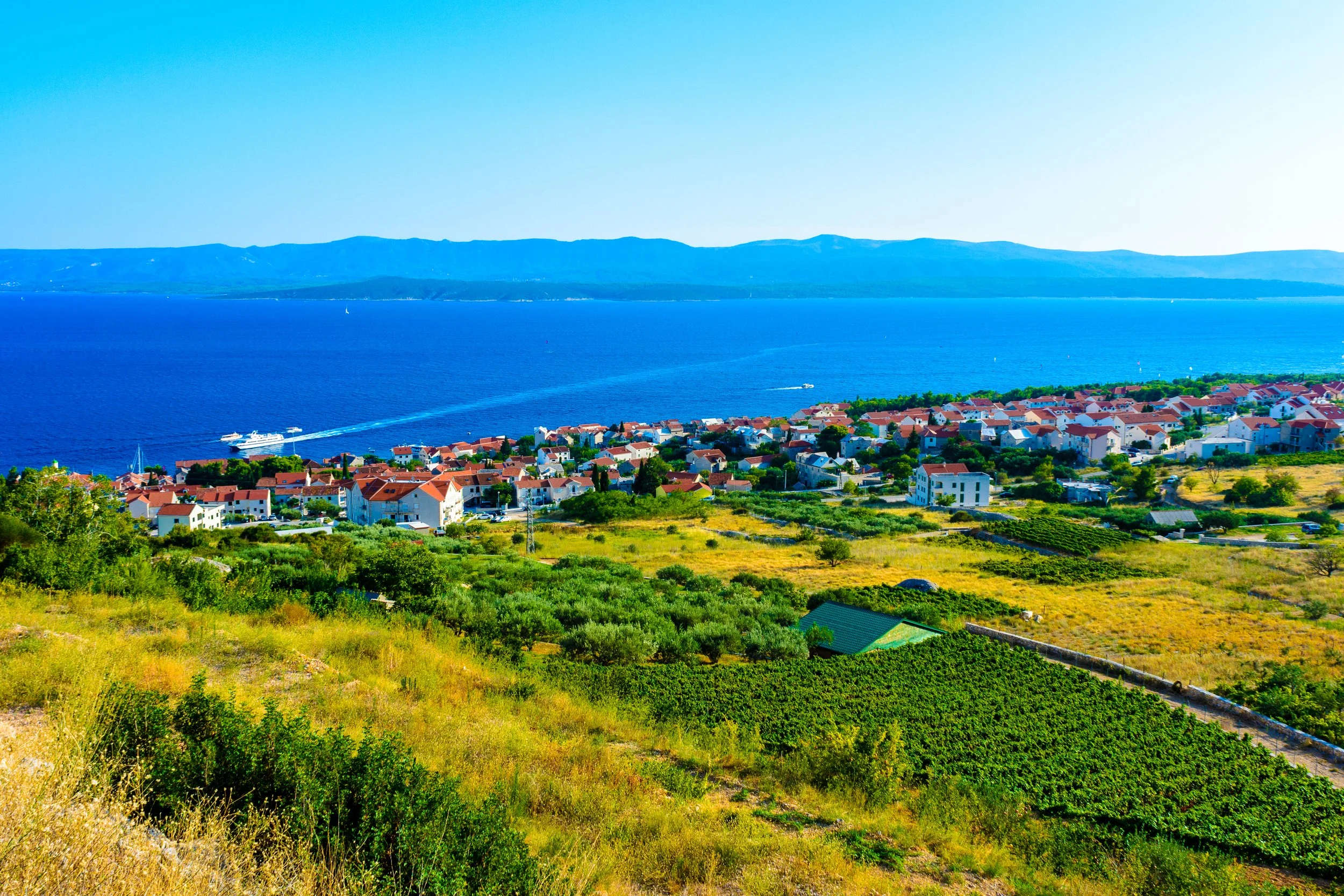  ©  https://commons.wikimedia.org/w/index.php?search=FRANCE&amp;title=Special%3AMediaSearch&amp;type=image   