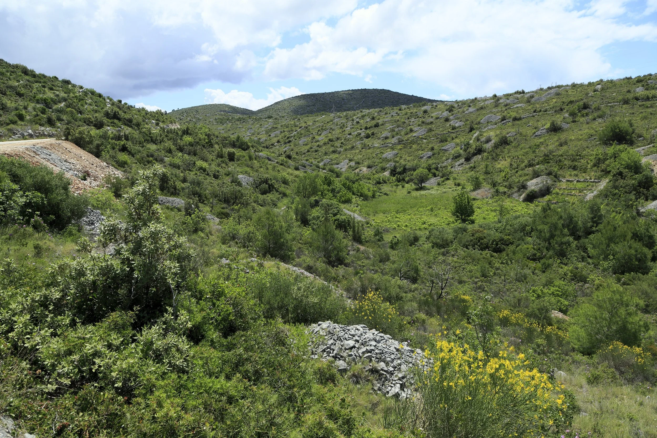  ©  https://commons.wikimedia.org/w/index.php?search=FRANCE&amp;title=Special%3AMediaSearch&amp;type=image   