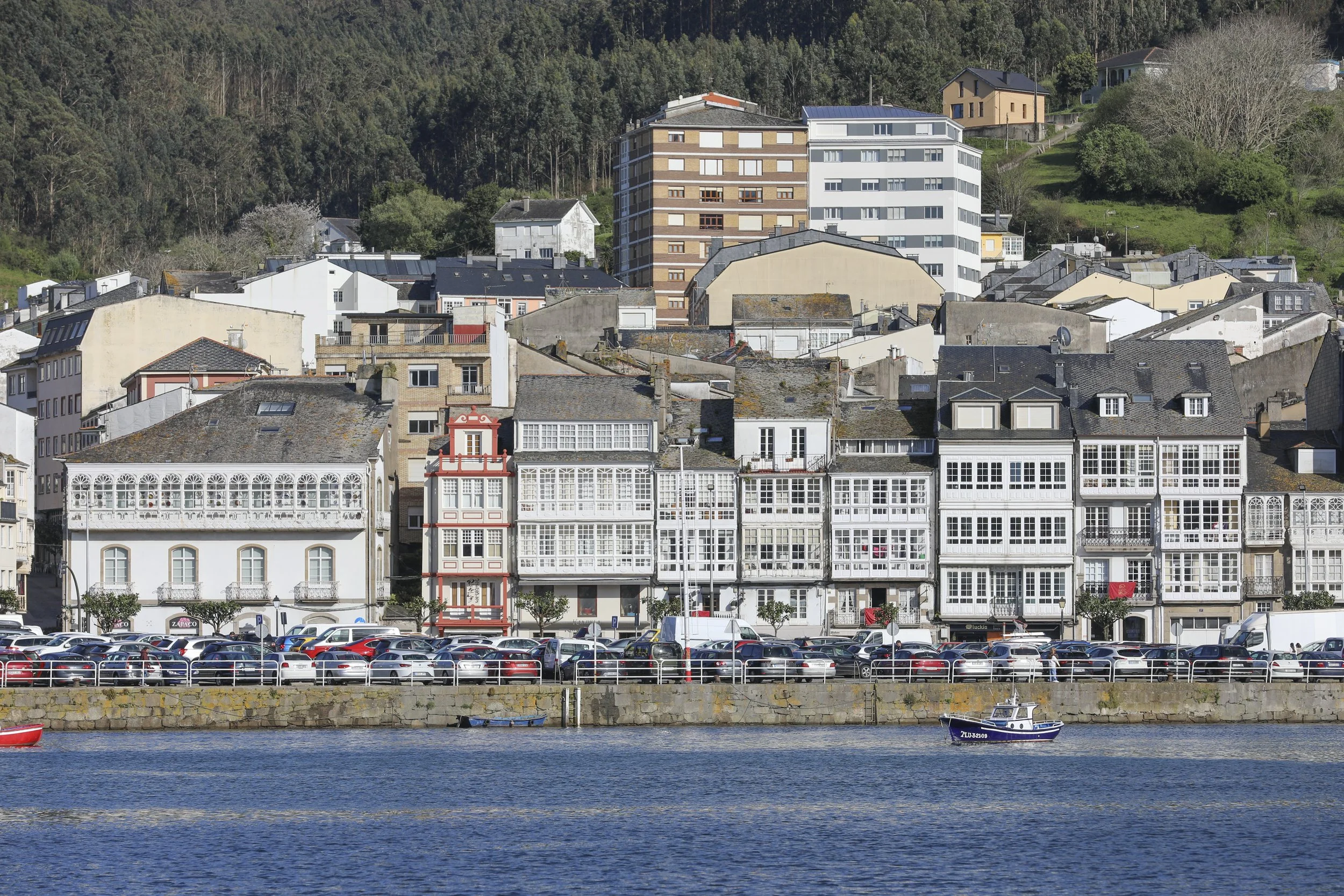 Viveiro_2025_04.jpg