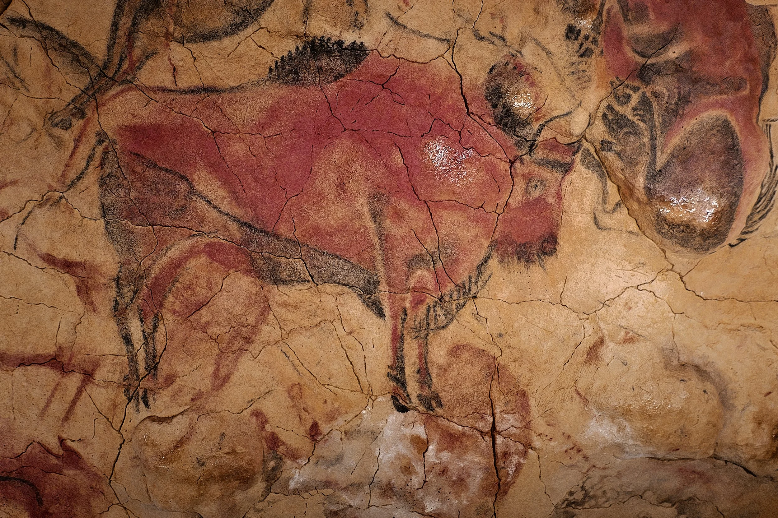 Bisonte_en_el_Techo_de_Policromos,_Neocueva_de_Altamira.jpg