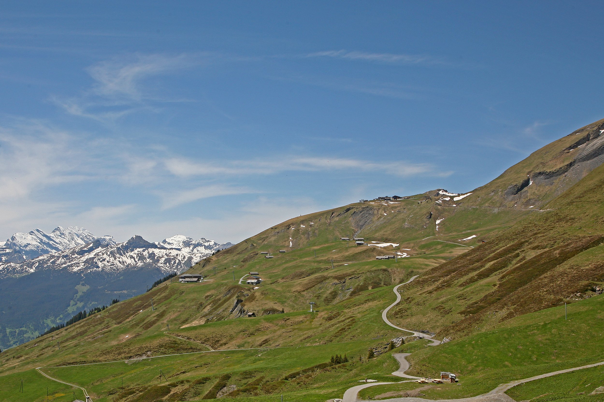 00_3121._Grindelwald-First_(Schweiz).jpg