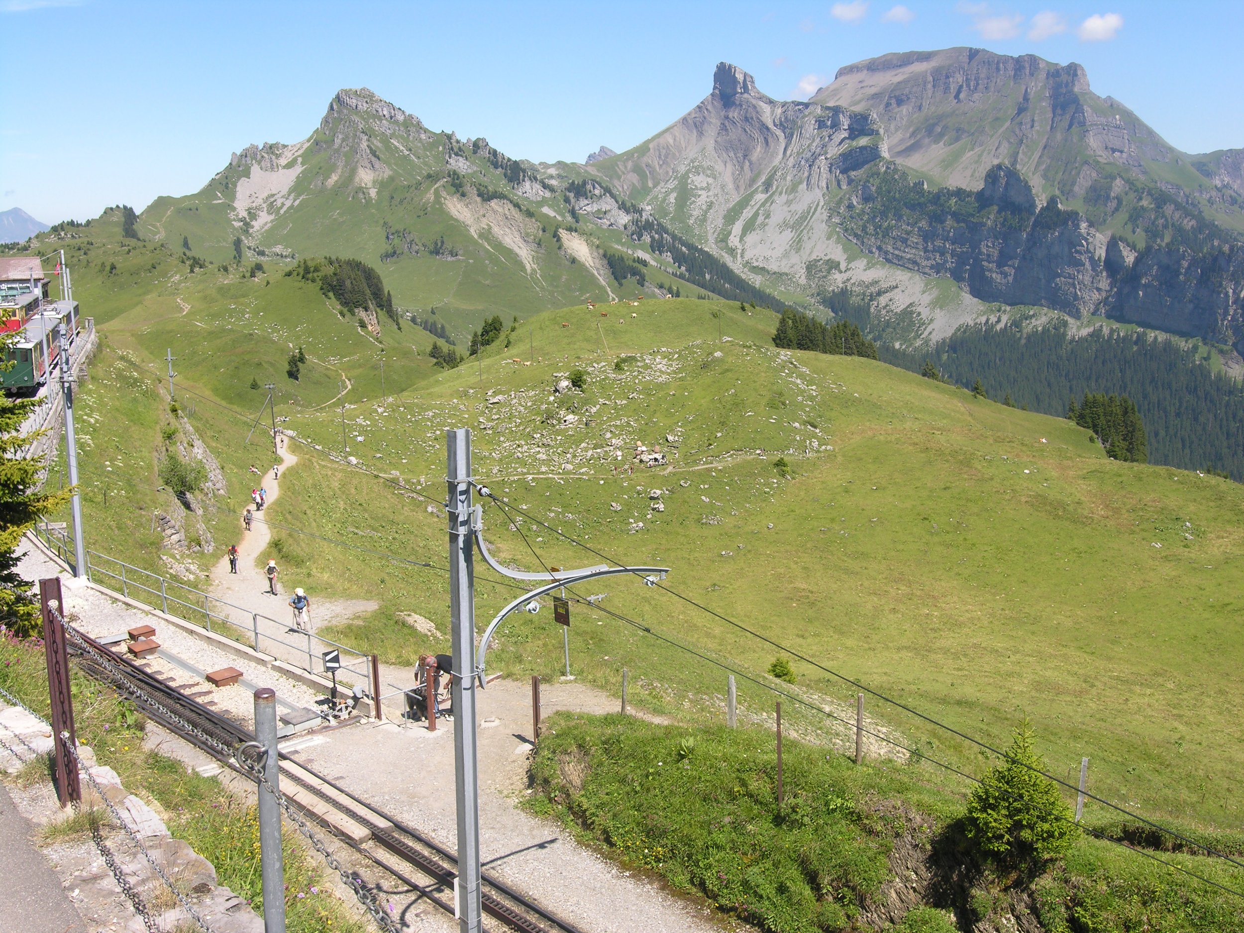 Schynige_Platte.jpg