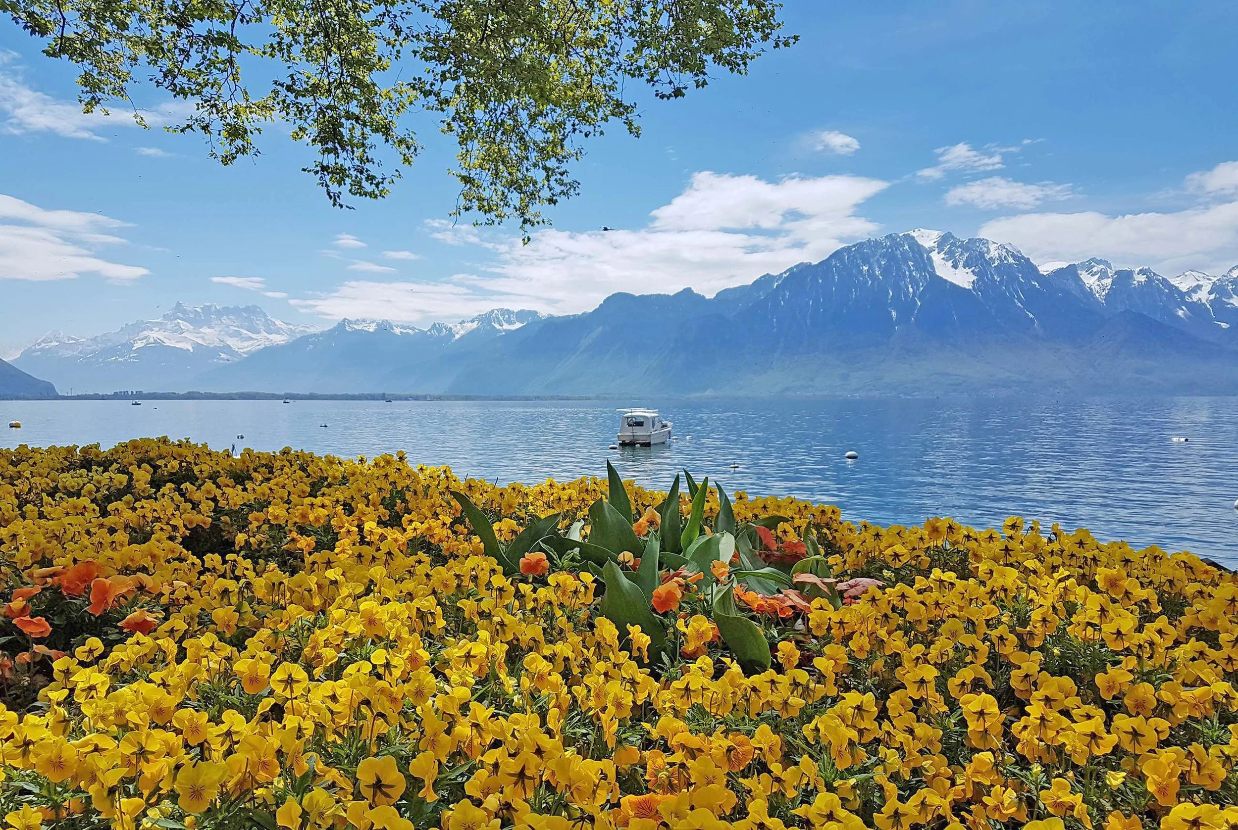 Montreux_Riviera.jpg
