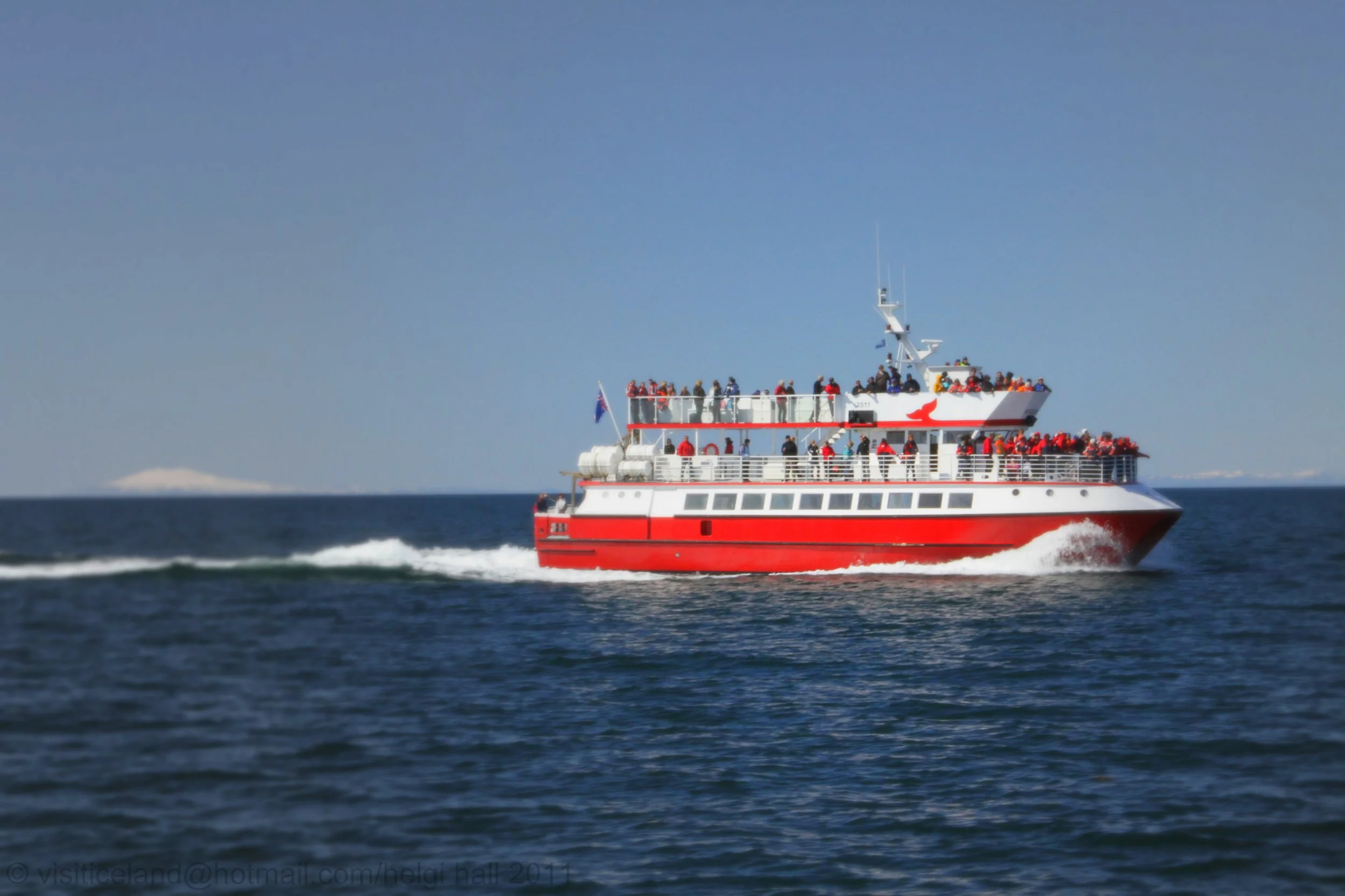 Our_daily_Whale_Watching_(5897061208).jpg