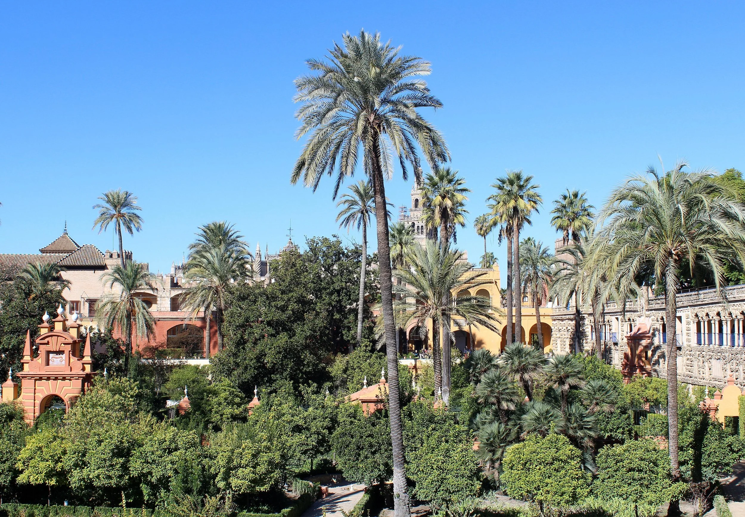 JardinLasDamas_Alcazar_Seville.jpg