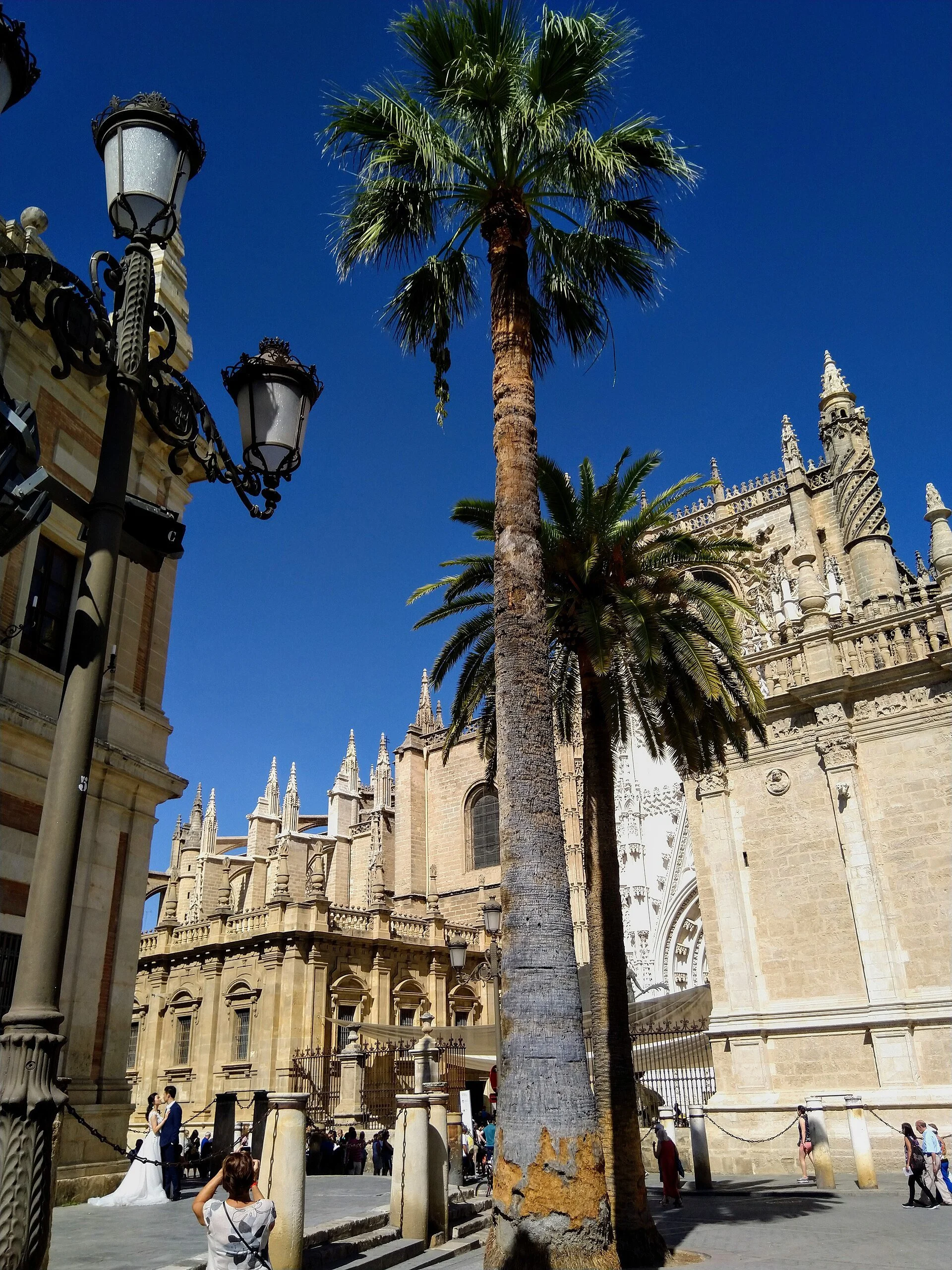 Sevilla_-_Cathedral_of_Seville,_facade_south_(2).jpg