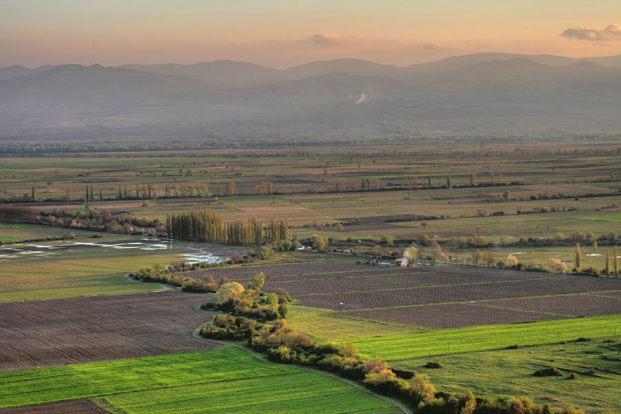 Alazani_Valley_(2).jpg