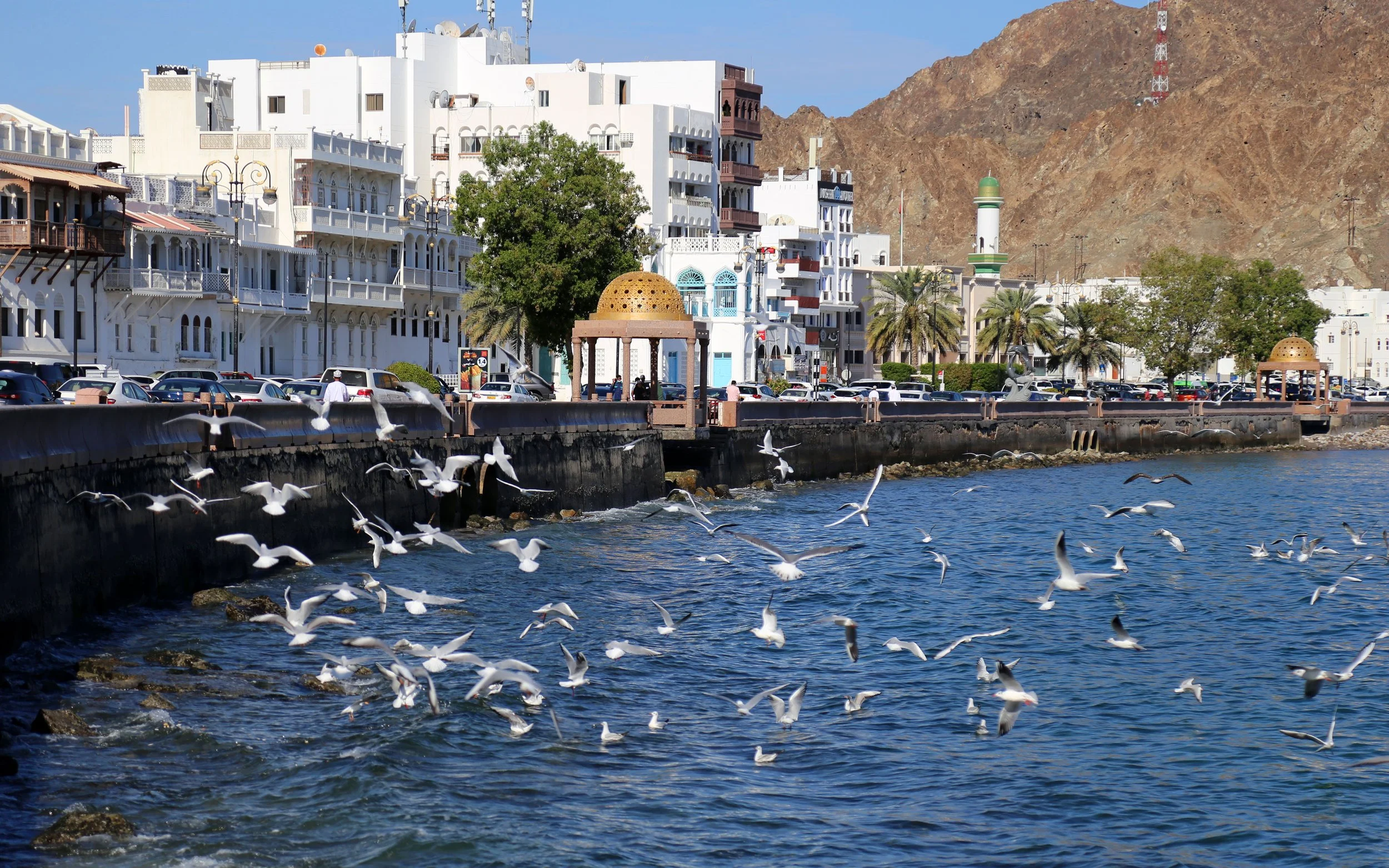 001025-Muscat-IMG_5665-2.jpg
