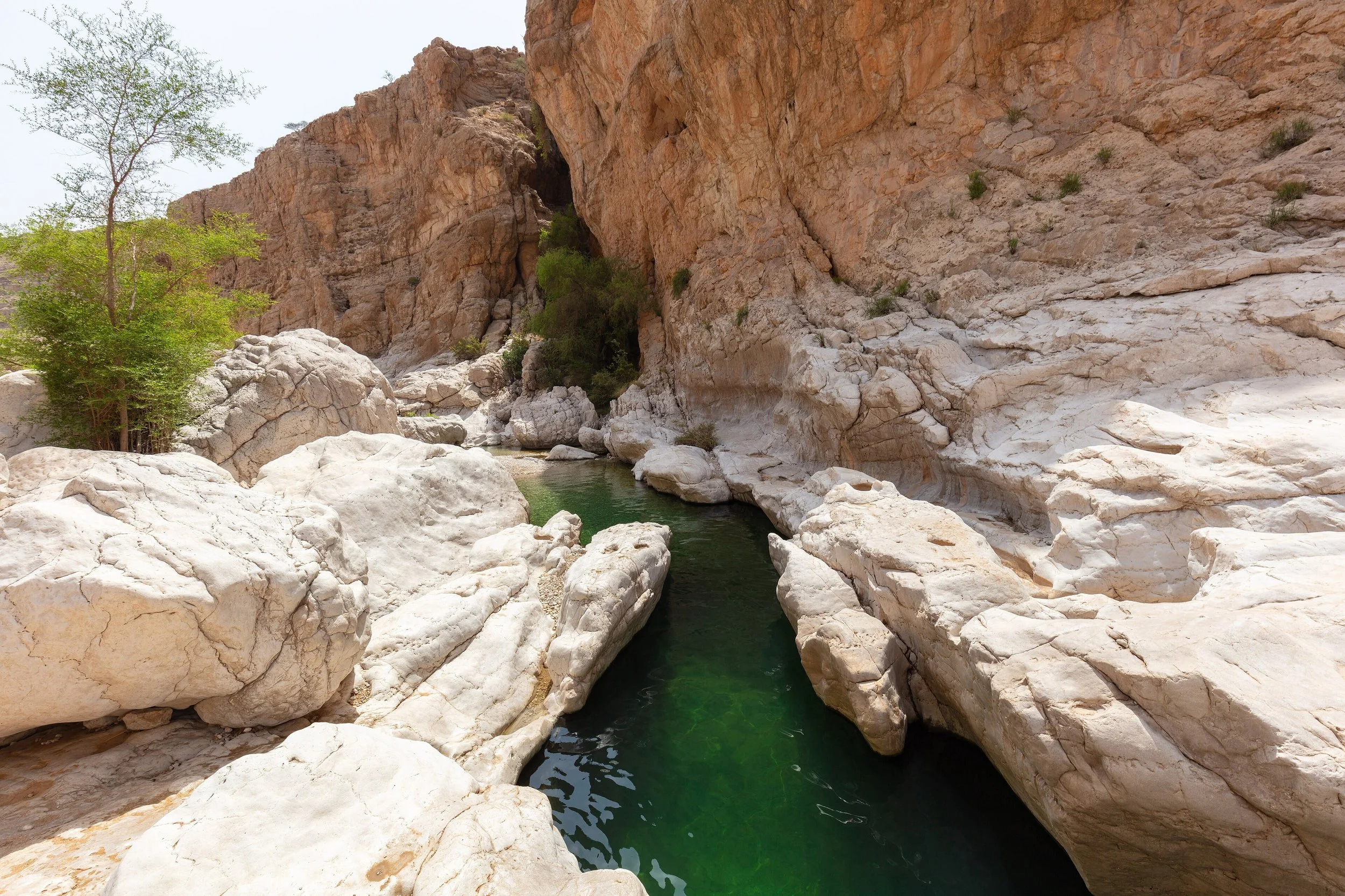 Wadi_Bani_Khalid,_Omán,_2024-08-17,_DD_51.jpg