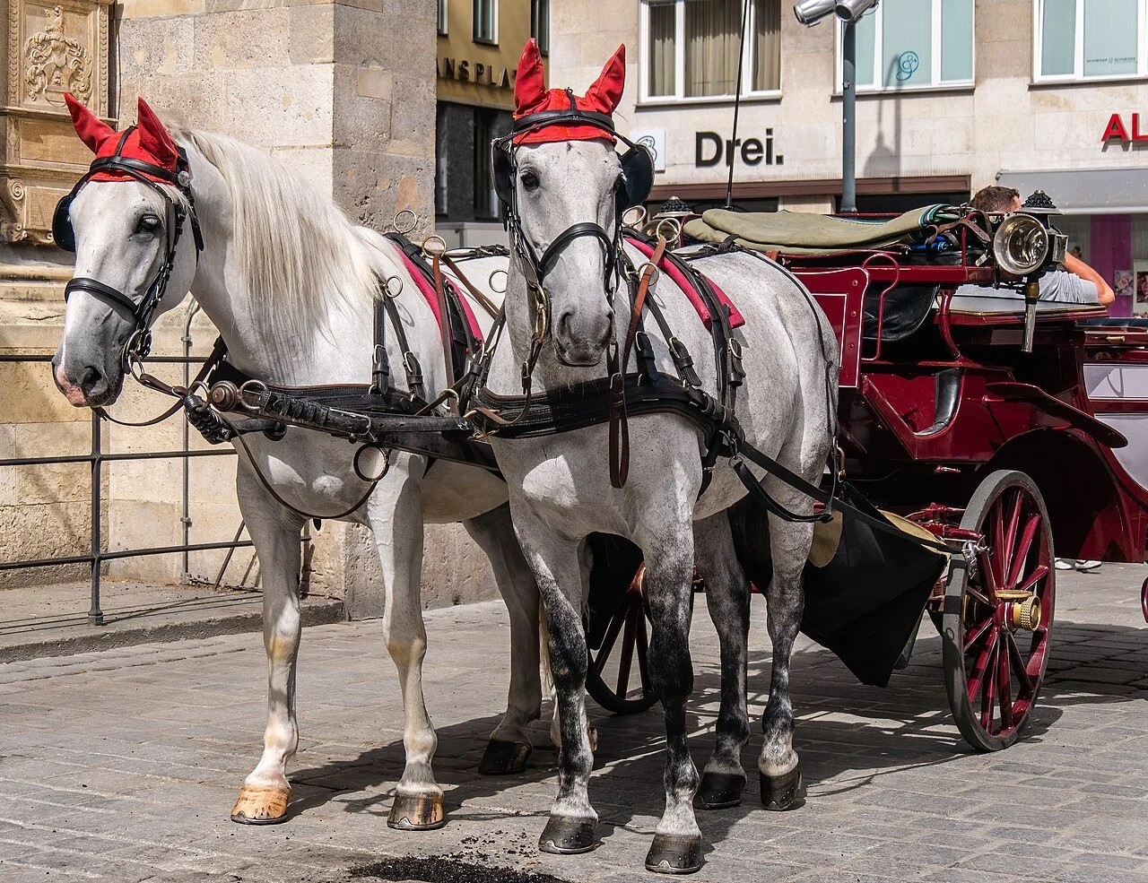 Wien_Fiaker_-20140523-RM-094136.jpg