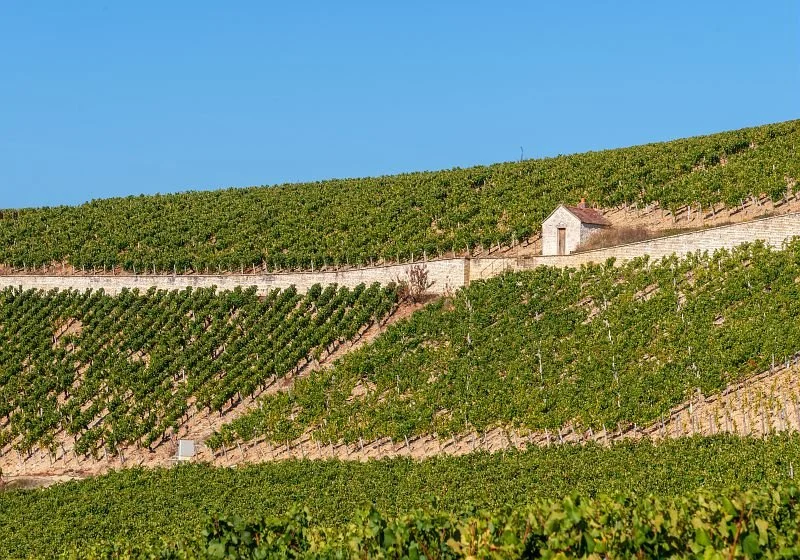 Alain_DOIRE__BFC_Tourisme-BFC_0014897.jpg