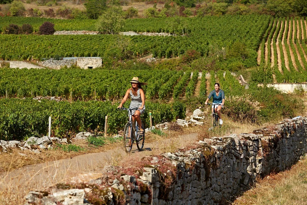 OTBEAUNE_011310_BD.jpg