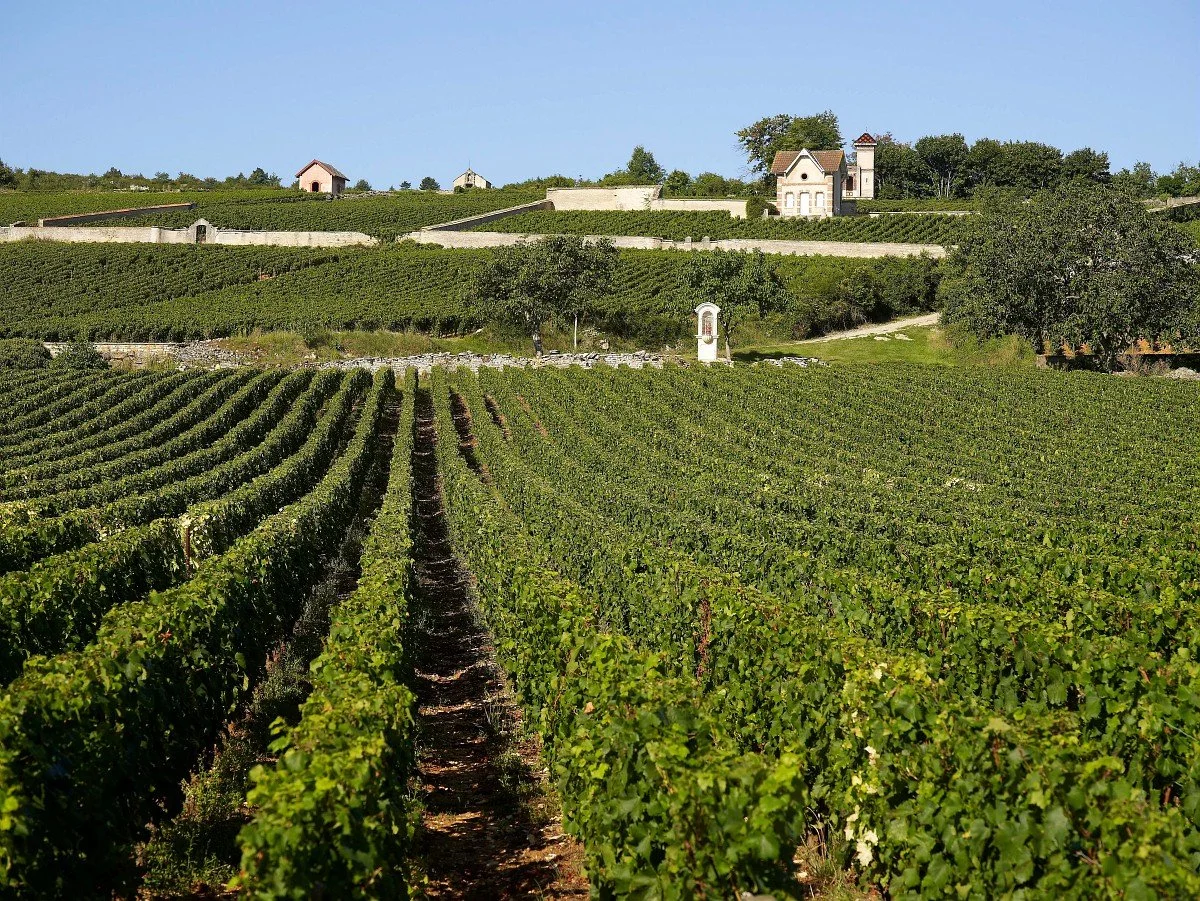 OTBEAUNE_011312_BD.jpg