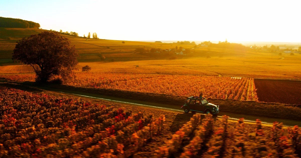 OTBEAUNE_011304_BD.jpg