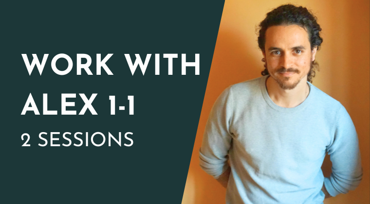 Graphic promoting work with Alex 1-1, offering 2 sessions, with a man in a light blue shirt standing against an orange wall.