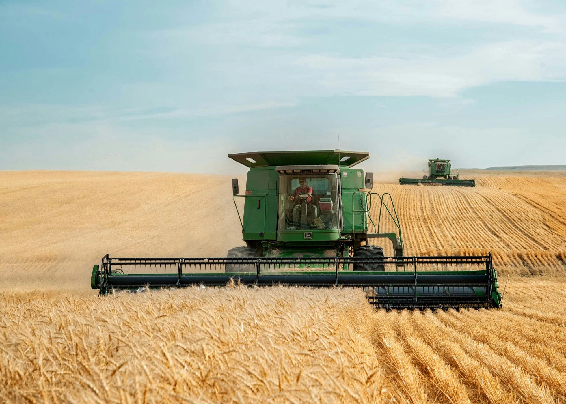 A combine harvester busy harvesting a field of wheat