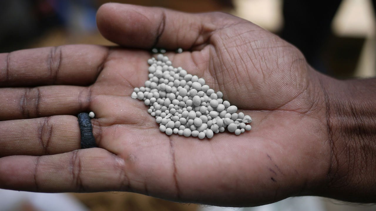 Why your food isn't as nutritious as it used to be
