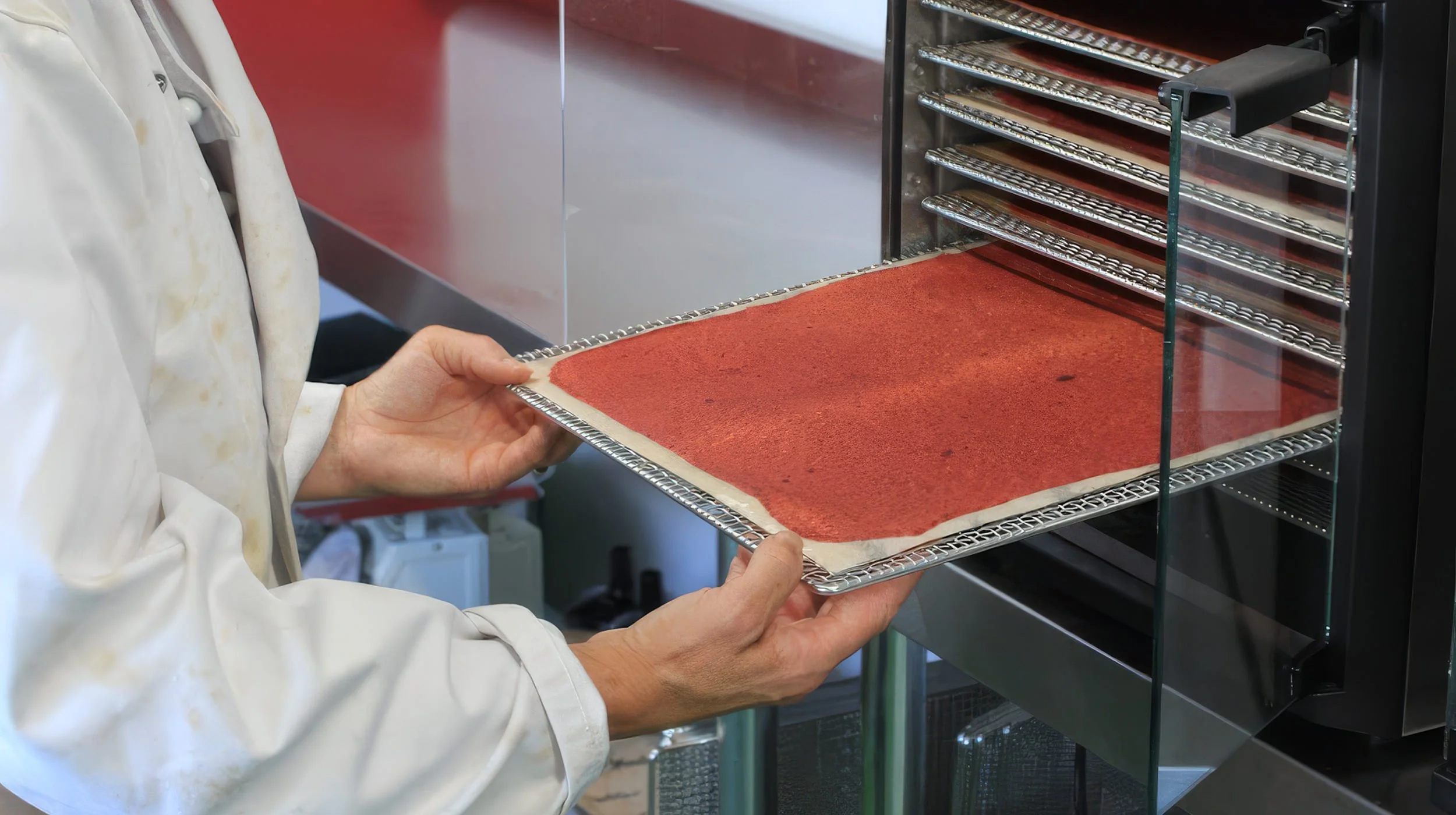 Sheet of fruit leather being taken out of the dehydrator
