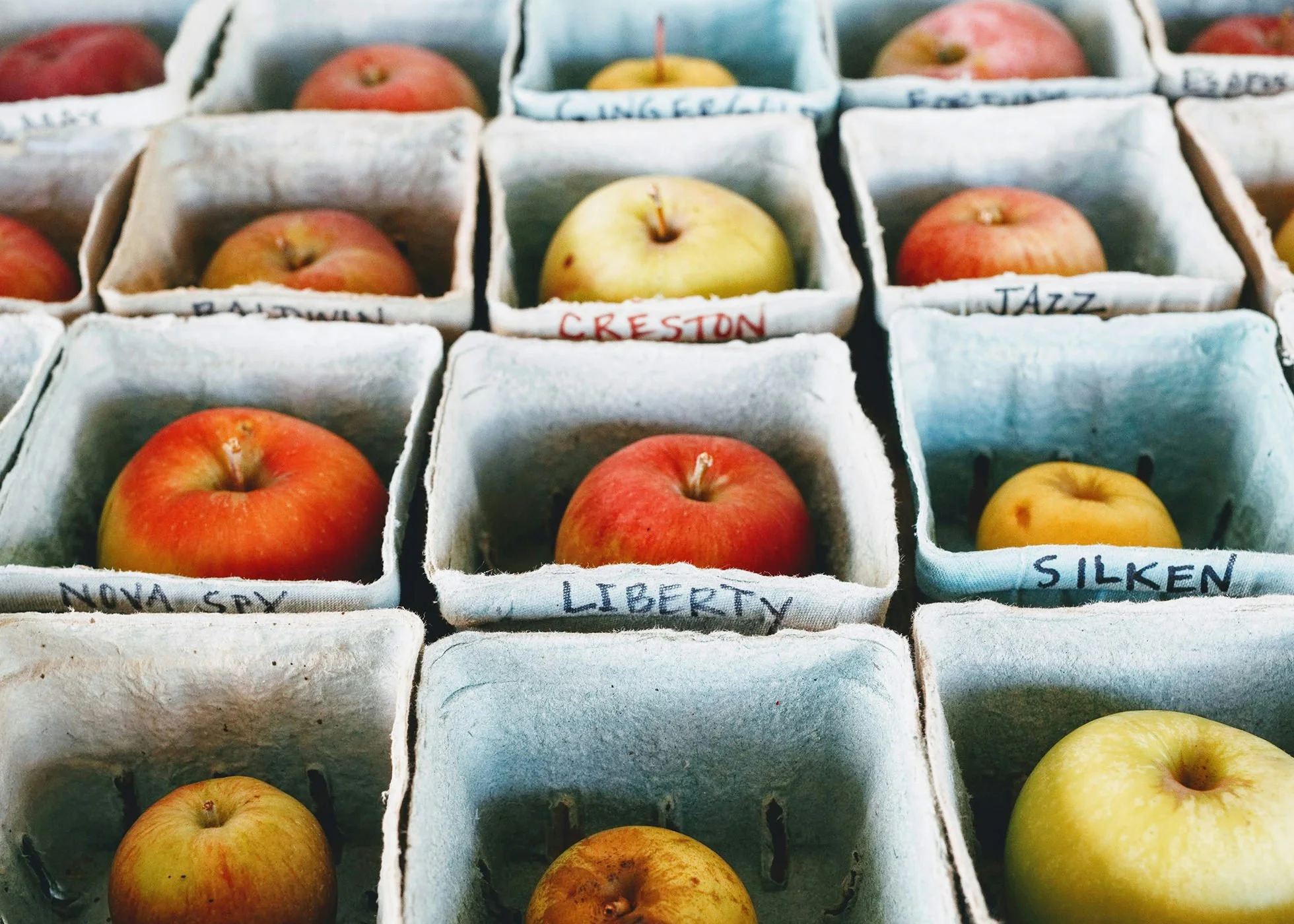 A mixture of different heritage apples laid out in individual cups