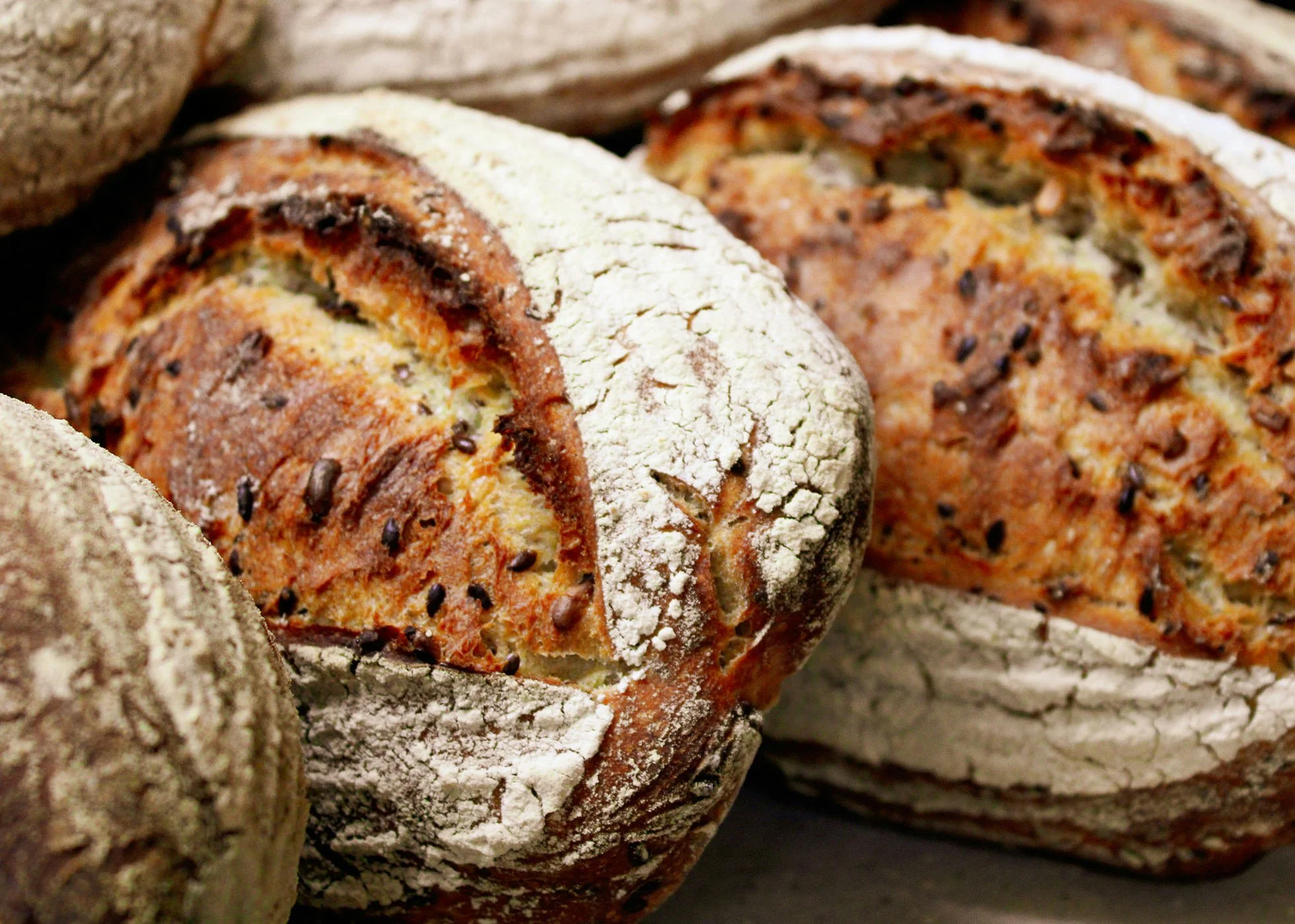 Delicious looking rustic artisan bread loaves