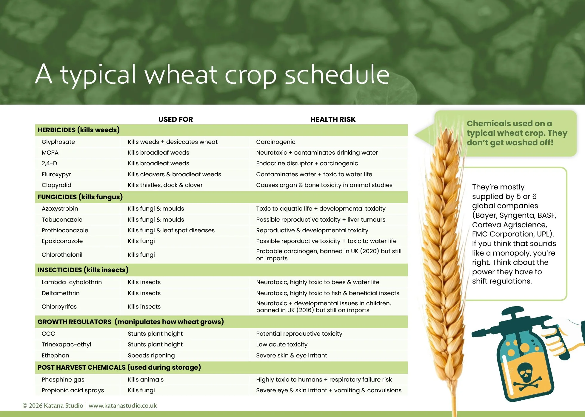 A typical wheat crop schedule