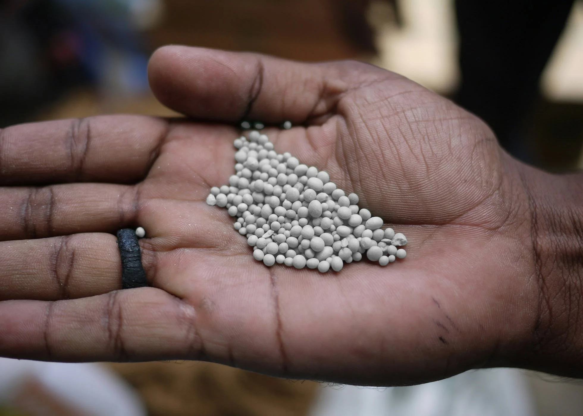 A hand holding granules of synthetic NPK fertiliser
