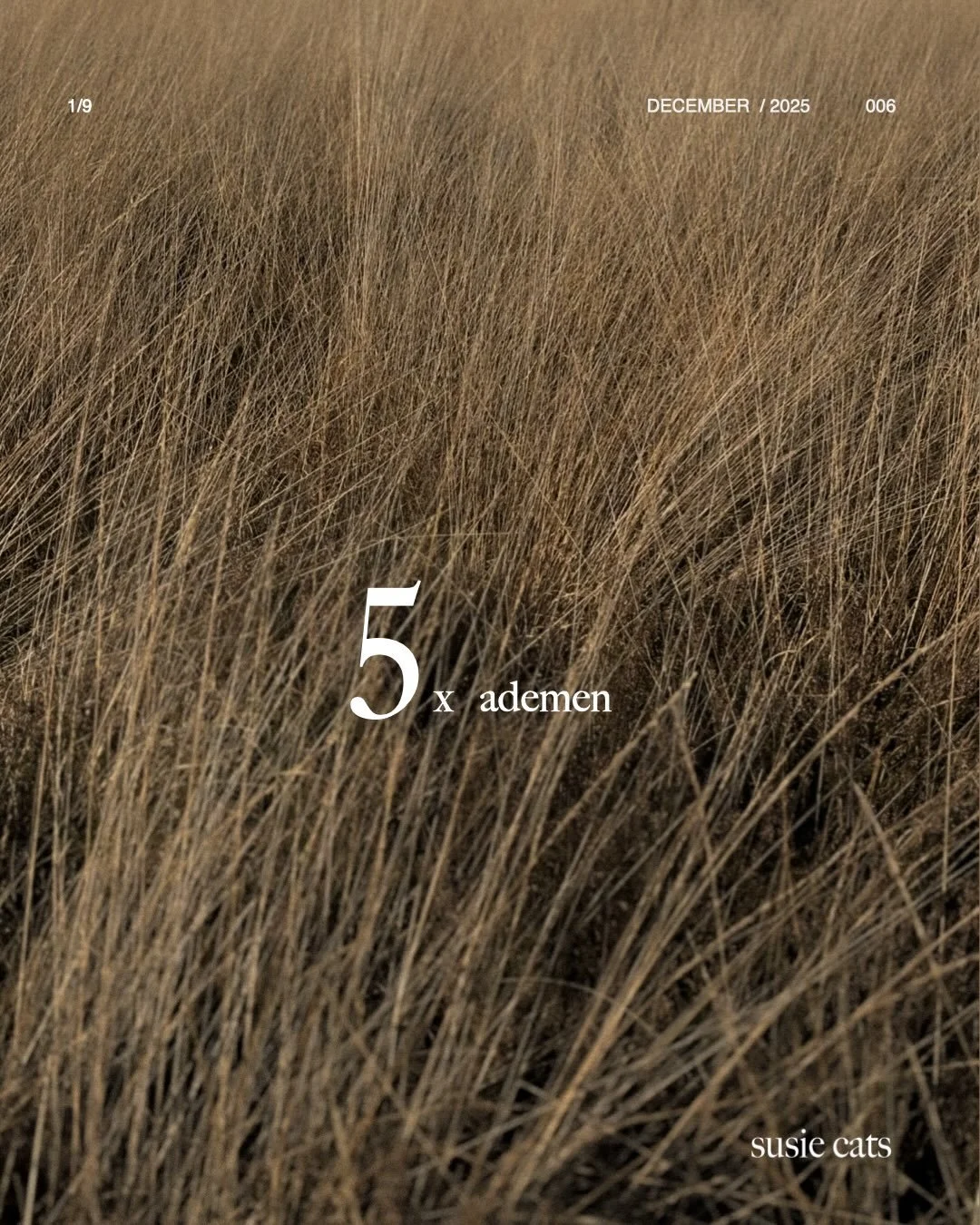 In de winter trekt de natuur zich terug.
Bomen laten hun bladeren los.
Dieren zoeken een warme slaapplek.
Bloemen nemen rust, 𝘻𝘰𝘥𝘢𝘵 𝘻𝘦 𝘪𝘯 𝘥𝘦 𝘭𝘦𝘯𝘵𝘦 𝘸𝘦𝘦𝘳 𝘬𝘶𝘯𝘯𝘦𝘯 𝘴𝘵𝘳𝘢𝘭𝘦𝘯.

Wij als mensen blijven vaak in beweging.
Zeker a