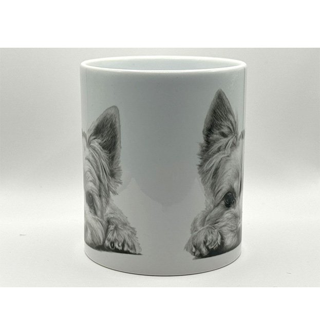Yorkshire Terrier frontWS.jpg