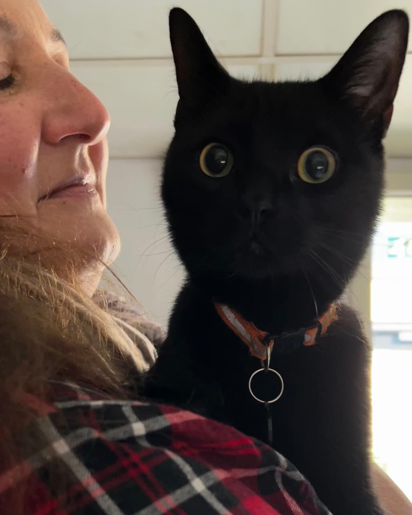 Sighting of Elvis in the studio! Yes! You could spot a dark shadow in the corridor that might get you all shook up&hellip;. That&rsquo;s Elvis (and hooman Christiana) 
All work places in london need a mouser I think. #studiopet #studiocat #artstudio 