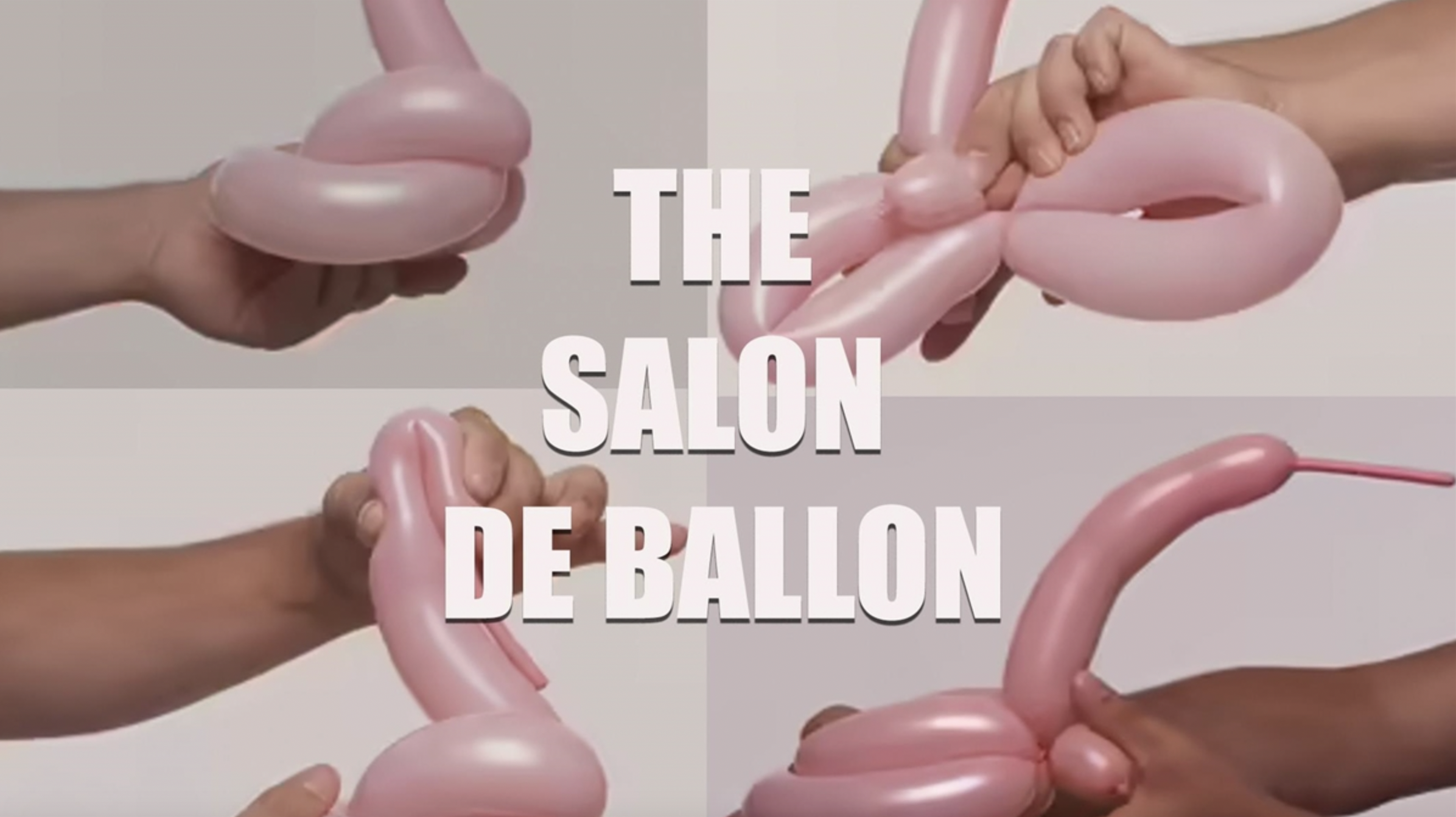 Salon de Ballon - Birds