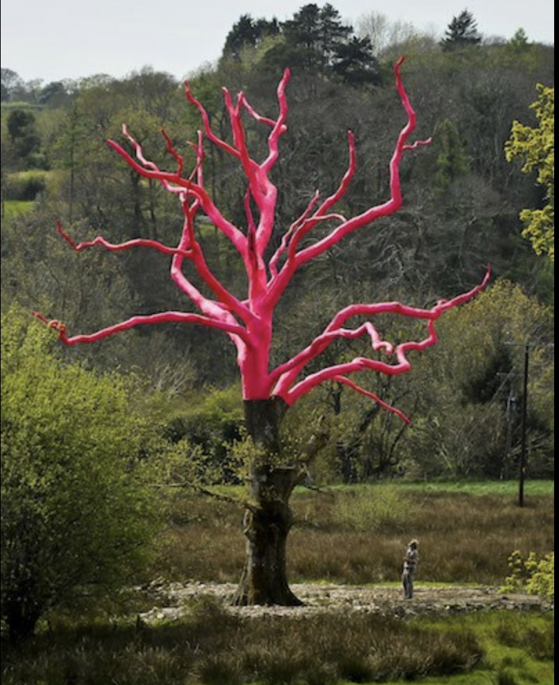 KINDRED STUDIO VISIT