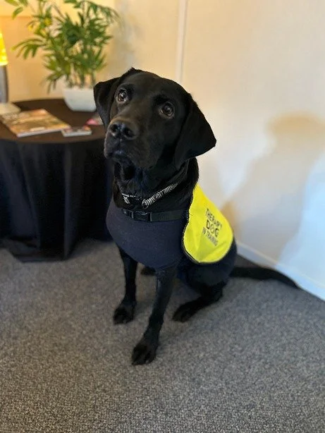 Say Hello to Our Newest Recruit: Shadow